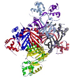 Image of CATH 2p6t