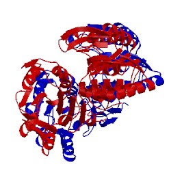 Image of CATH 2p9q