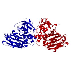Image of CATH 2p9v