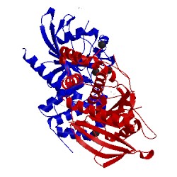 Image of CATH 2pa5