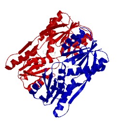 Image of CATH 2paf