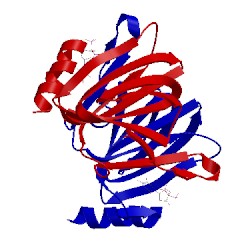 Image of CATH 2pak