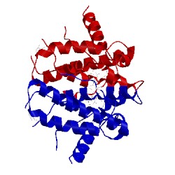 Image of CATH 2paq