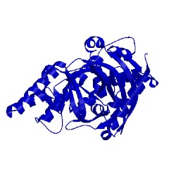 Image of CATH 2paw