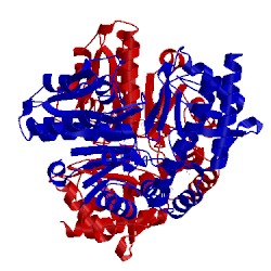 Image of CATH 2pb0