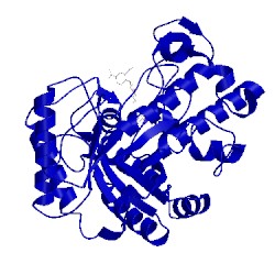 Image of CATH 2pb1
