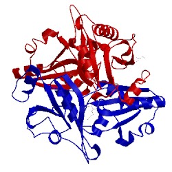 Image of CATH 2pb4