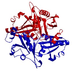 Image of CATH 2pb6