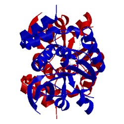 Image of CATH 2pbf