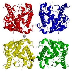 Image of CATH 2pbl