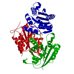 Image of CATH 2pbq