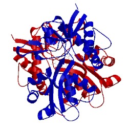 Image of CATH 2pbw