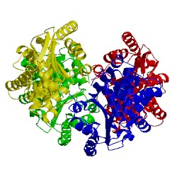 Image of CATH 2pby