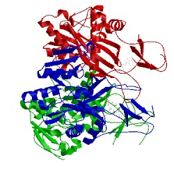Image of CATH 2pbz