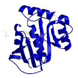 Image of CATH 2pc1