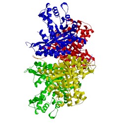 Image of CATH 2pc4
