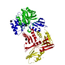 Image of CATH 2pc6