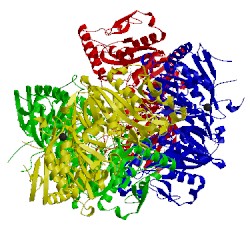 Image of CATH 2pc9