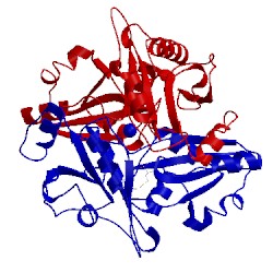 Image of CATH 2pca