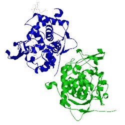 Image of CATH 2pcb