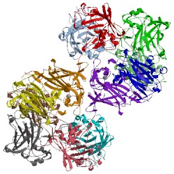 Image of CATH 2pcd