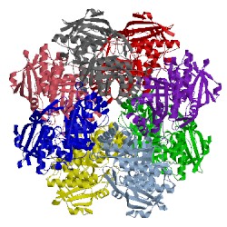 Image of CATH 2pce