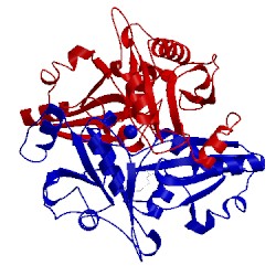 Image of CATH 2pcg