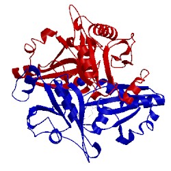 Image of CATH 2pch