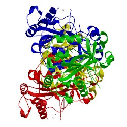 Image of CATH 2pd0