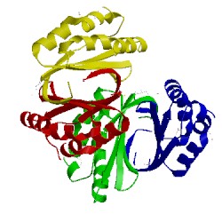 Image of CATH 2pd1