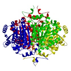 Image of CATH 2pd3