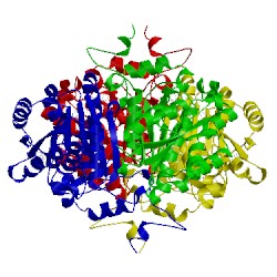 Image of CATH 2pd4