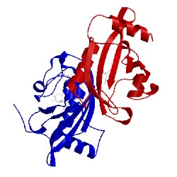 Image of CATH 2pd8
