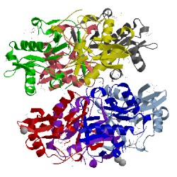 Image of CATH 2pdo