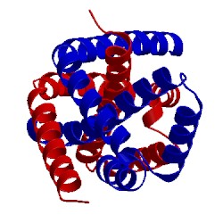 Image of CATH 2peq