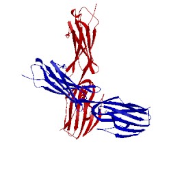 Image of CATH 2pf6
