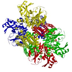 Image of CATH 2pfd