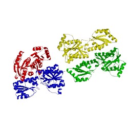 Image of CATH 2pfk