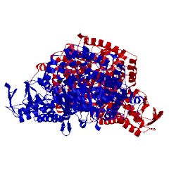 Image of CATH 2pfl