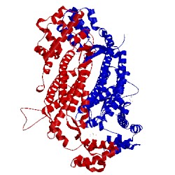 Image of CATH 2pfm