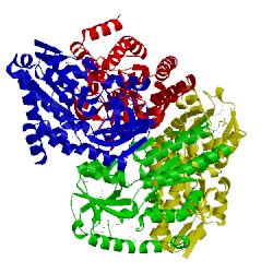 Image of CATH 2pfy