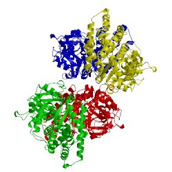 Image of CATH 2pg5