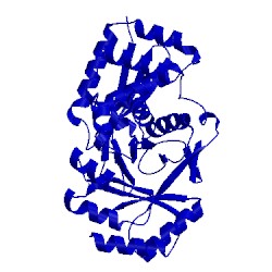 Image of CATH 2pge