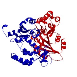 Image of CATH 2pgl