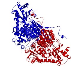 Image of CATH 2pgn