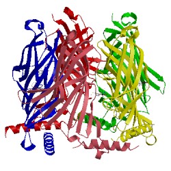 Image of CATH 2ph9
