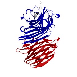 Image of CATH 2phf