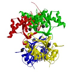 Image of CATH 2php