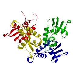 Image of CATH 2pi0
