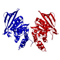 Image of CATH 2pi7